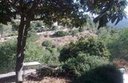 חדר להשכרה לשעה בירושלים