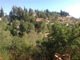  ליד המעיין בירושלים חדרים להשכרה